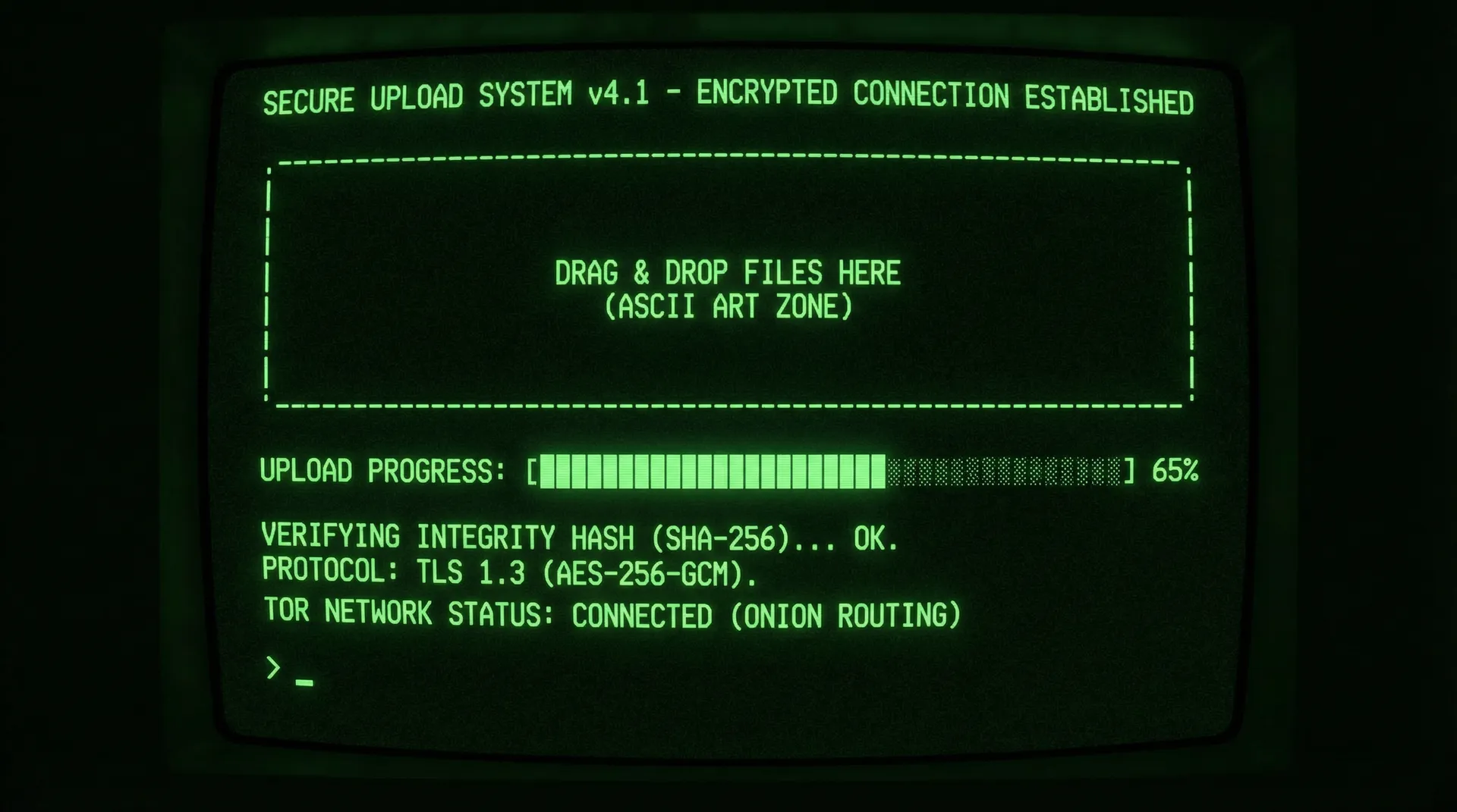91暗网 匿名上传安全系统加密传输界面